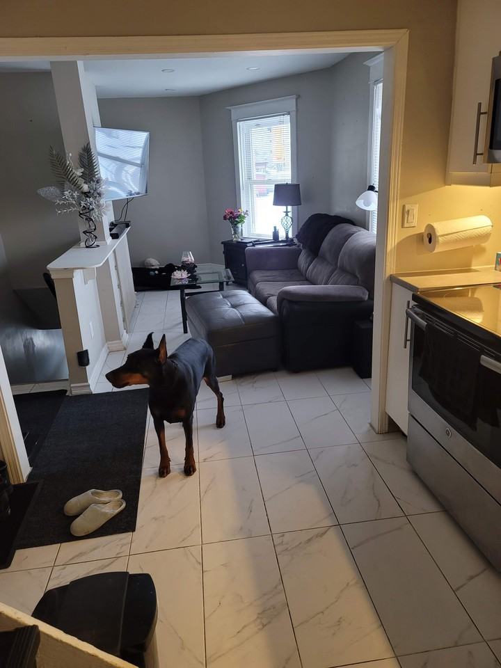 1385 King St E - Photo 2 of 10