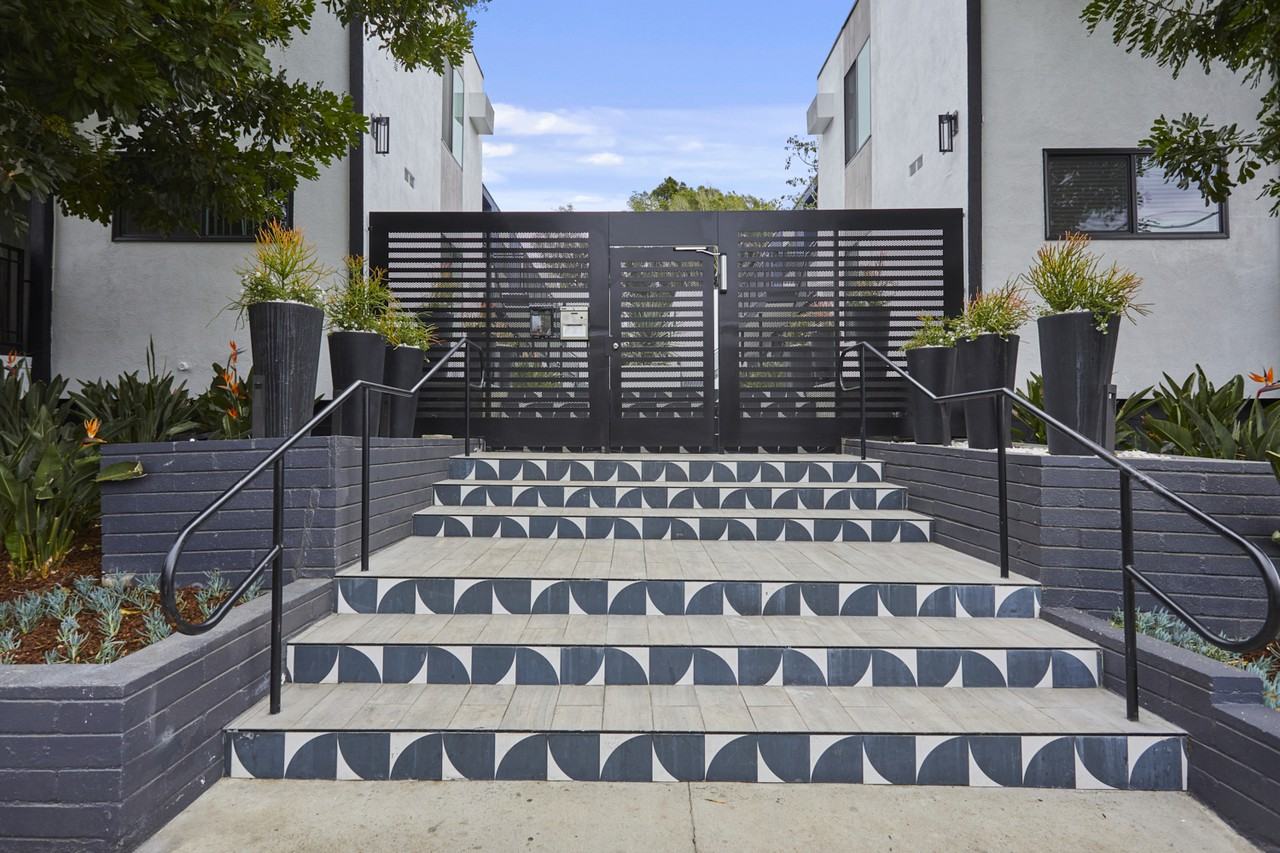 Callie on Curson - Photo 3 of 14