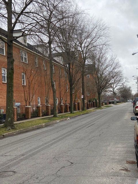 527 527 West 20th Street - 1Unit 405 - Photo 2 of 28