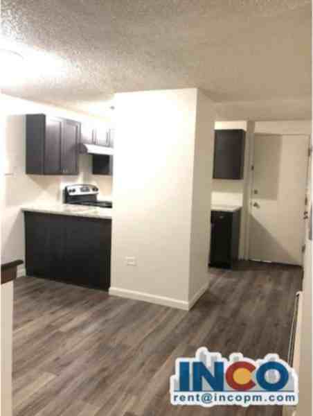 1390 Everett Ct #109 - Photo 5 of 17