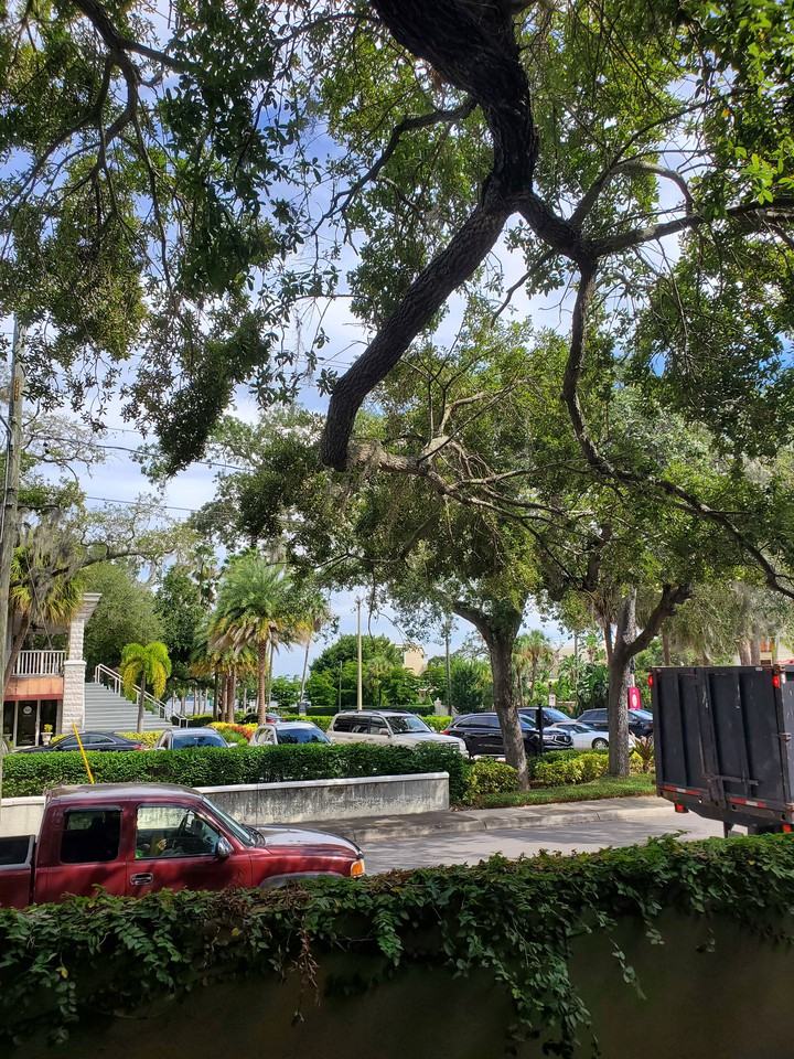 Bayshore Blvd & W Gandy Blvd #102