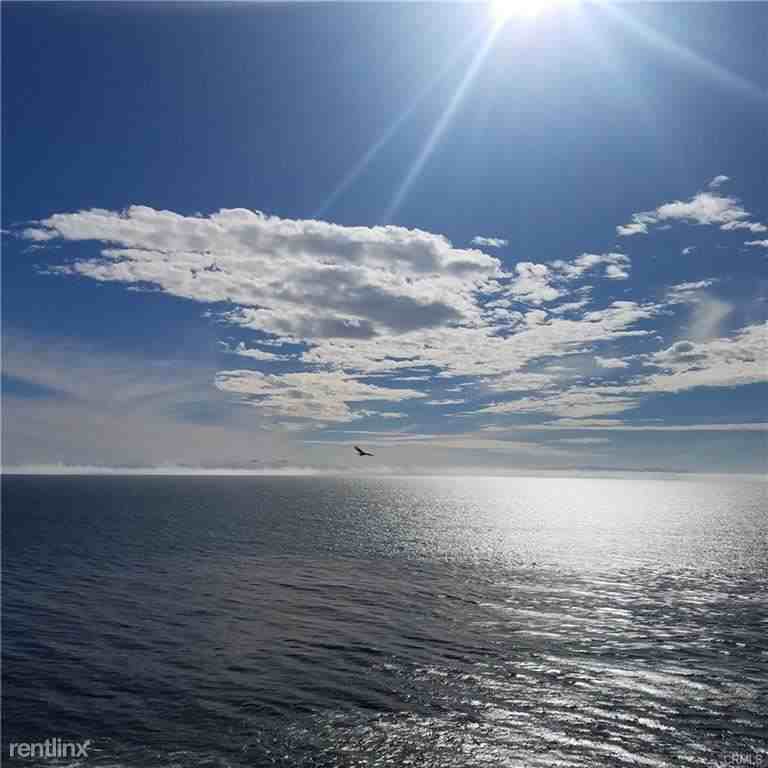 1431 W Paseo Del Mar - Photo 3 of 8