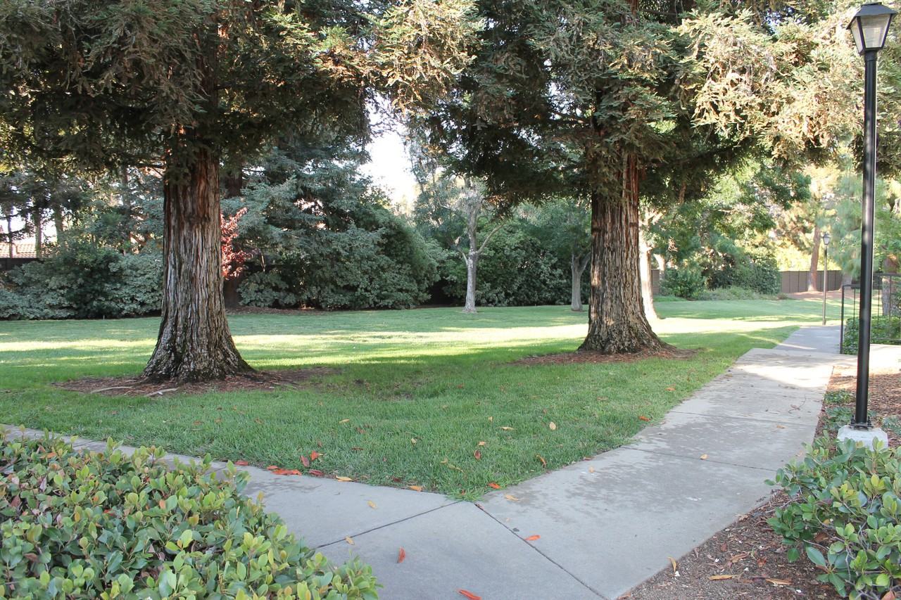 2547 Yerba Hills Ct - Photo 2 of 17