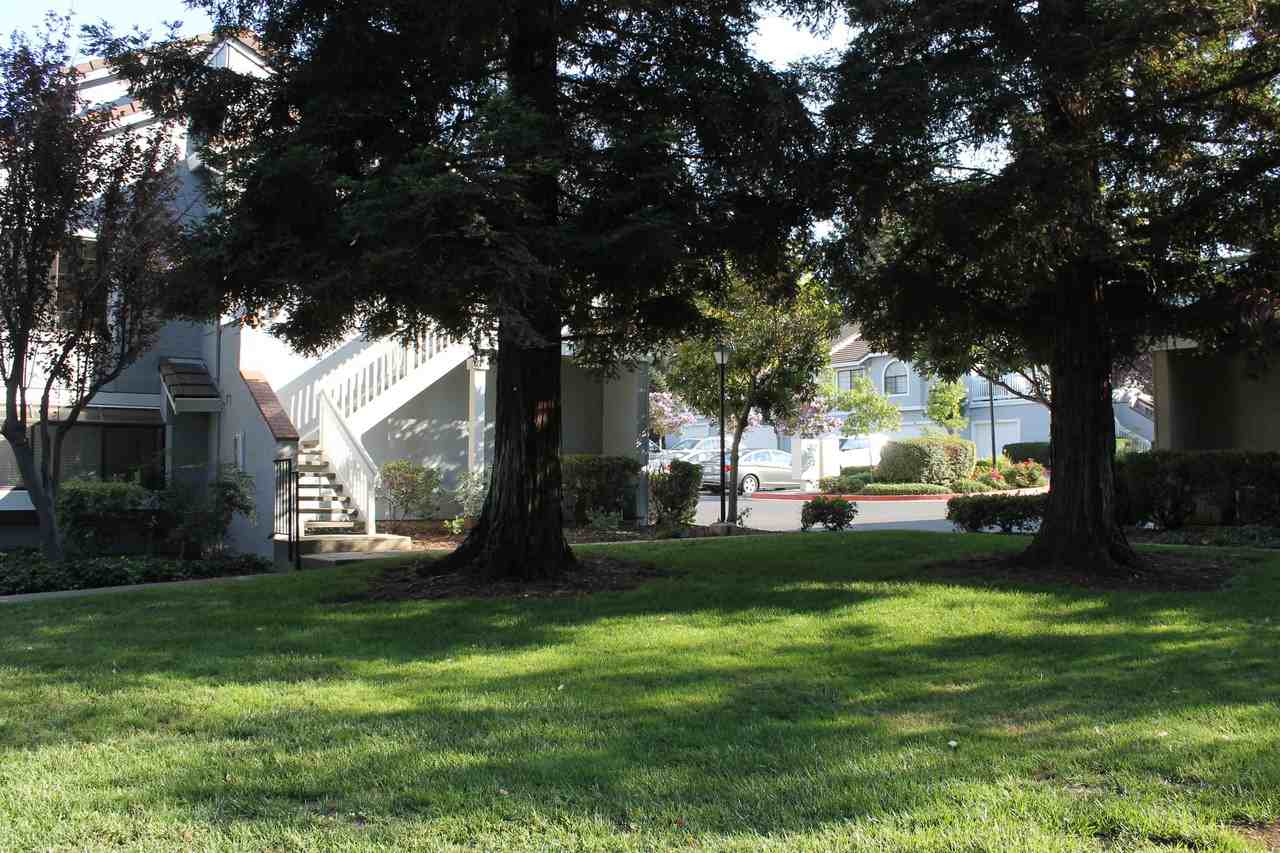 2547 Yerba Hills Ct - Photo 3 of 17