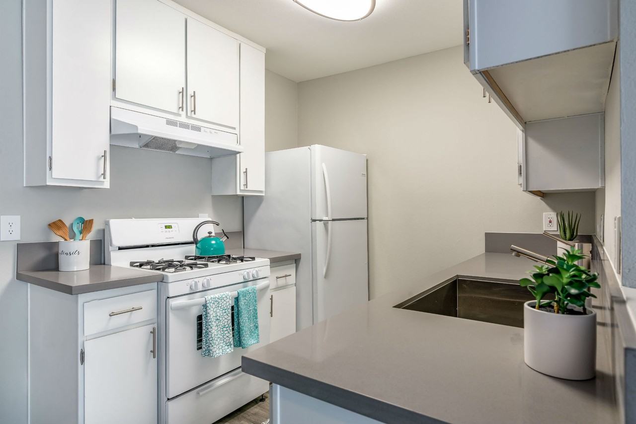 Latitude Apartments - Photo 4 of 50