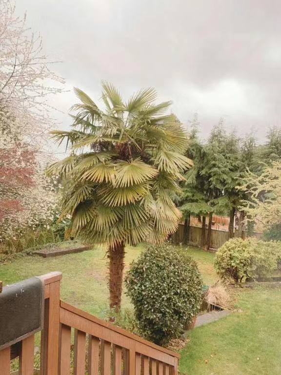 2556 Lawson Avenue - Photo 2 of 13