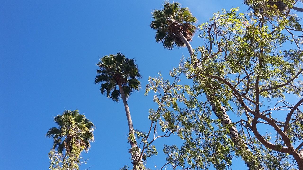 The Grove at Ten Mulberry Court - Photo 3 of 5