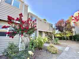 featured image of 150 Stony Point Rd