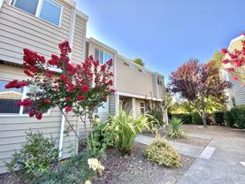 Stony Creek Apartments - Photo 1 of 1
