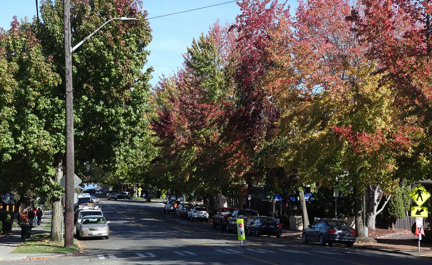 2015 43rd Ave E - Photo 3 of 4