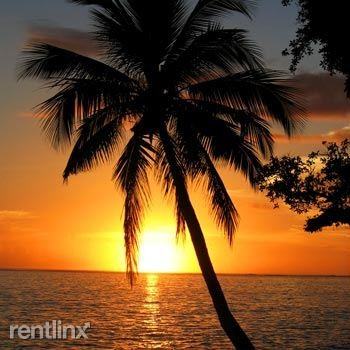 Palm Vista Apartments - Photo 3 of 7