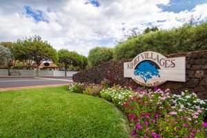 featured image of 140 Uwapo Rd #1