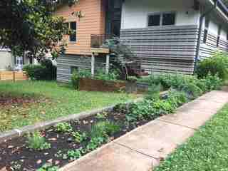 3bd/2ba Architectural GEM with high ceilings and big yard in EAST LAKE - Photo 2 of 29