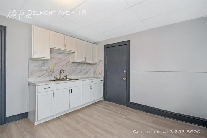 Belmont Ave - Photo 3 of 9