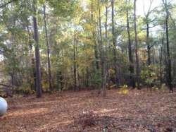 52 Mt Zion Rd - Photo 3 of 13