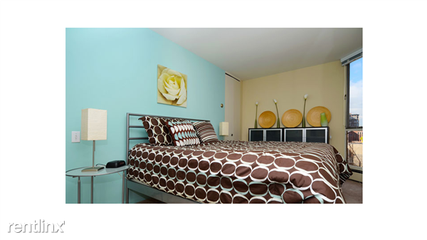 Chestnut and LaSalle - Photo 3 of 10