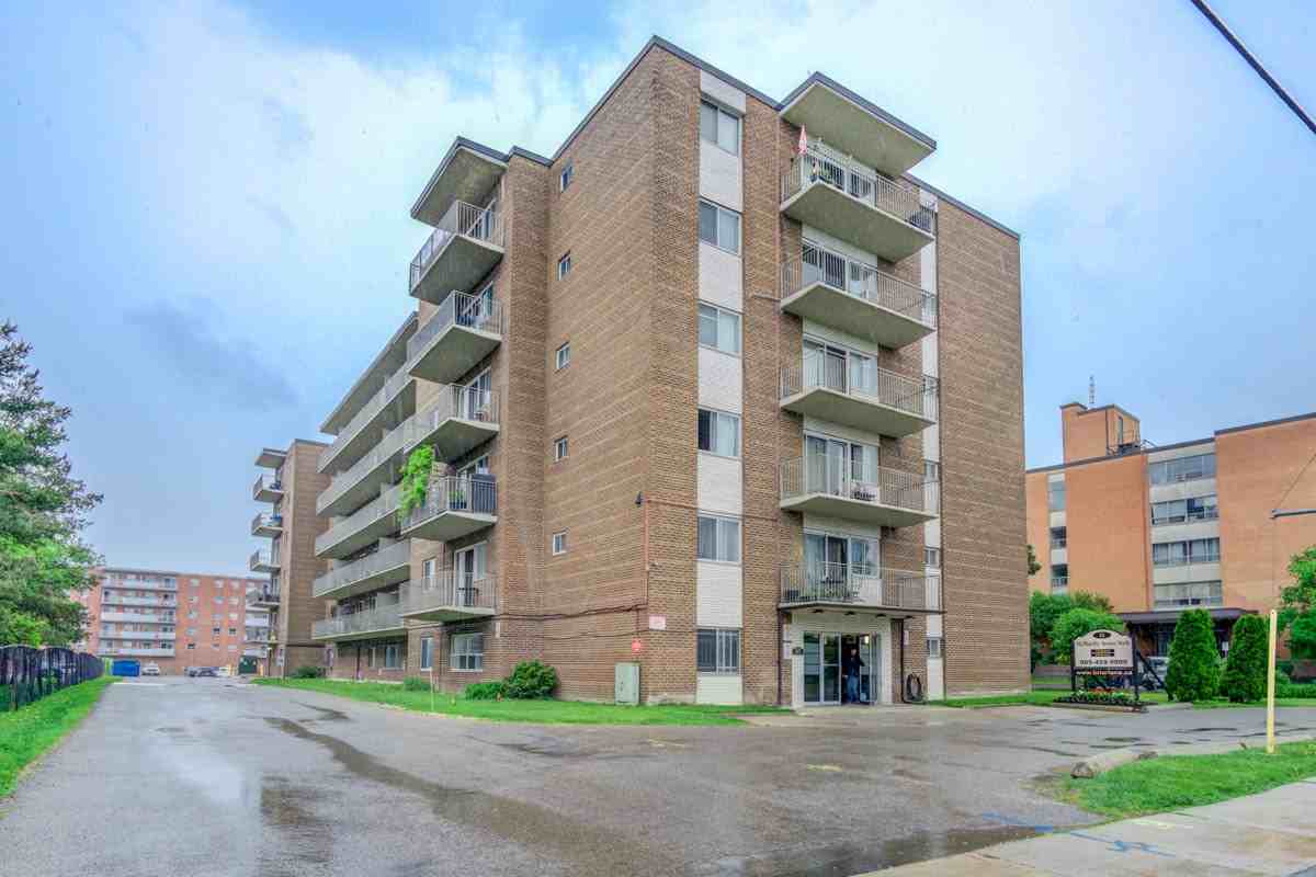 53 Mcmurchy Ave N, Brampton, ON L6X 1X8 1 Bedroom Apartment for Rent