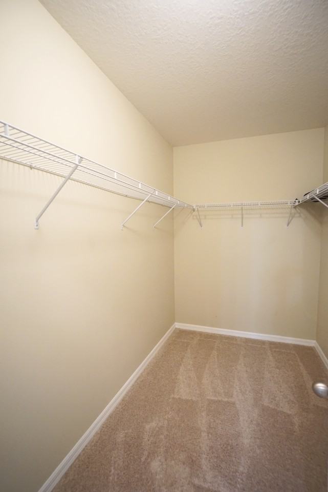 13107 Canopy Creek Dr - Photo 7 of 18