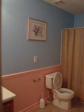 341 Branch Valley Way - Photo 3 of 10