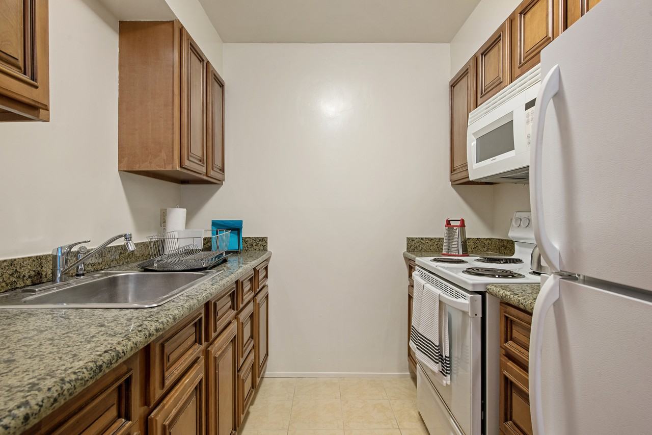 45 Randwick - Photo 7 of 11