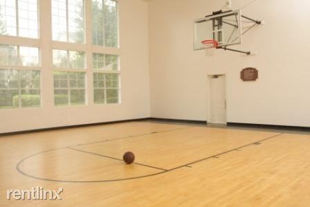 The Preserve @ Ballantyne - Photo 3 of 11