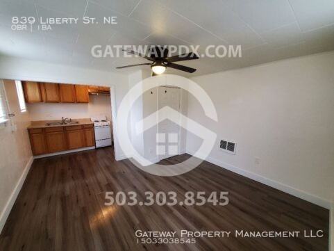 839 Liberty St Ne - Photo 3 of 15