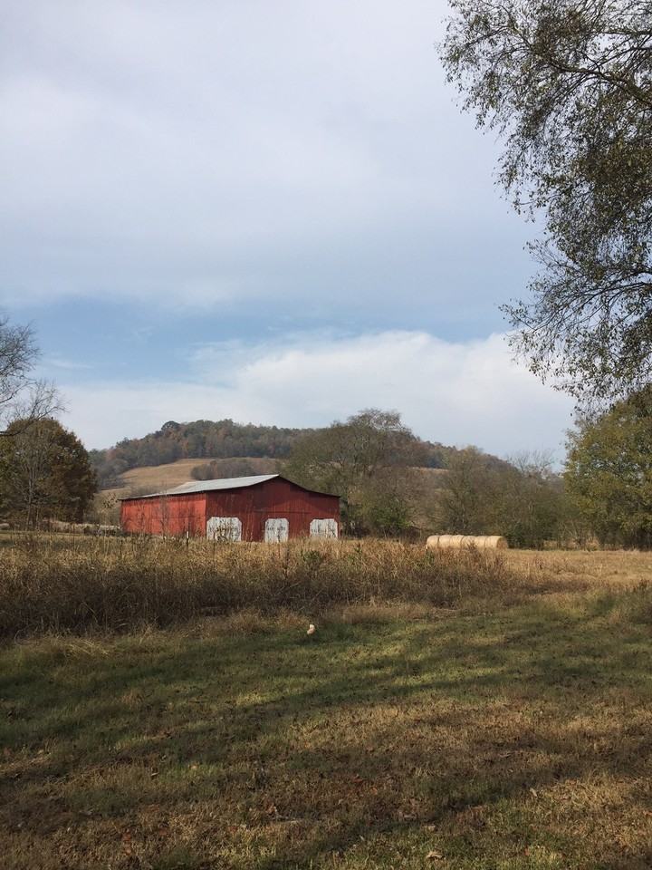 280 Ray Hix Ln - Photo 2 of 13