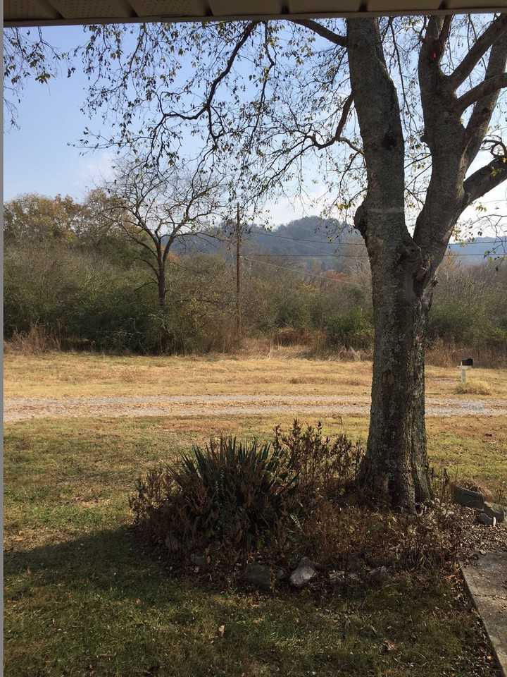 280 Ray Hix Ln - Photo 3 of 13