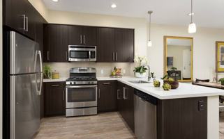 featured image of 1000 Lupine