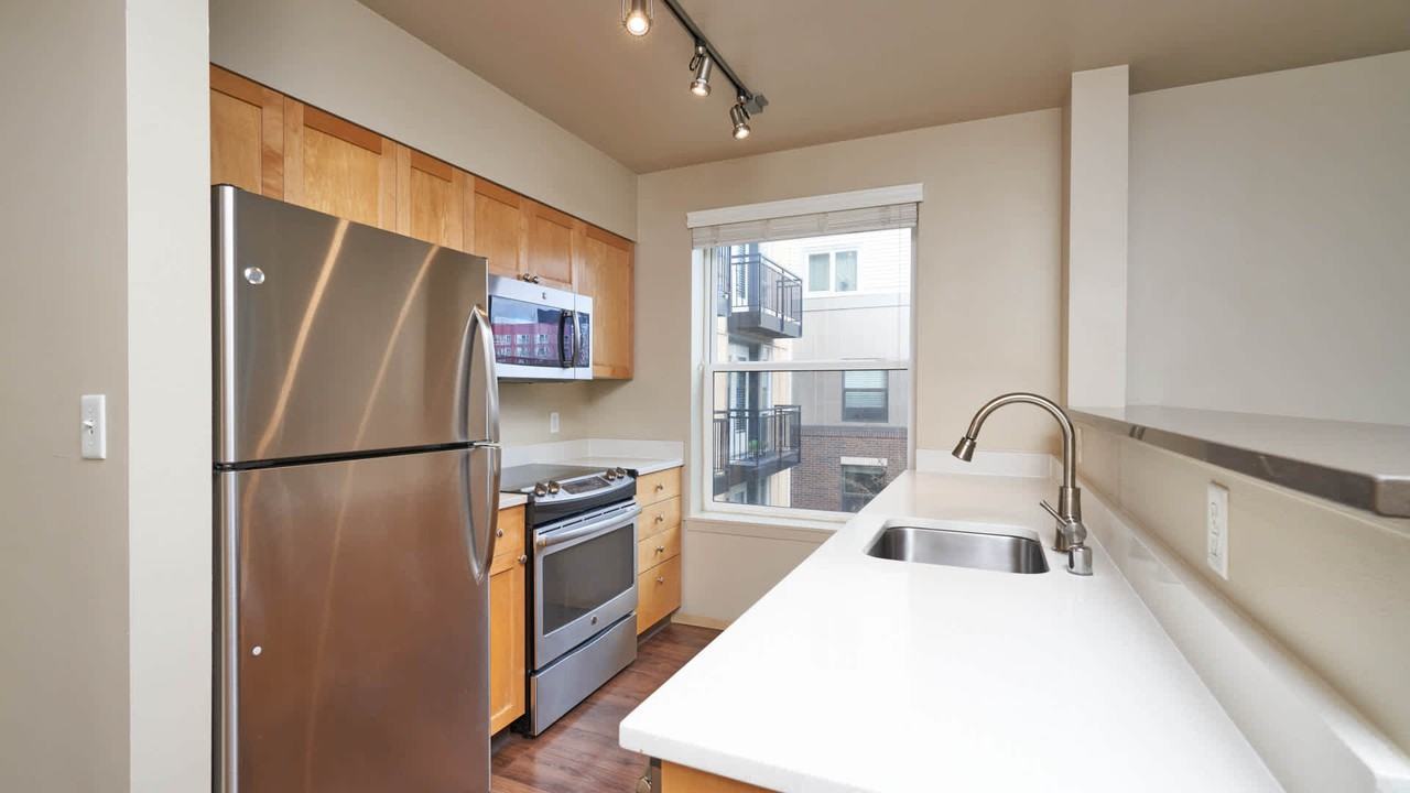 Alcyone - Photo 6 of 41