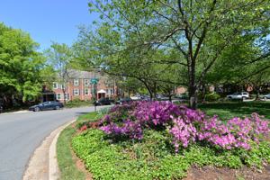 featured image of 4811 30th St S #B2