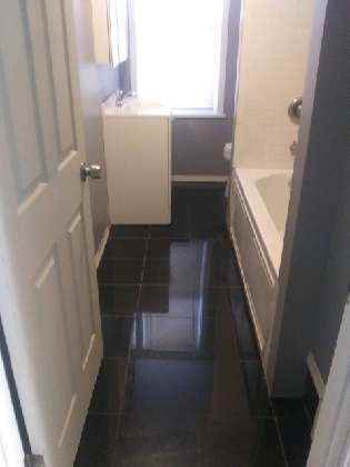 3232 Faronia St - Photo 3 of 15