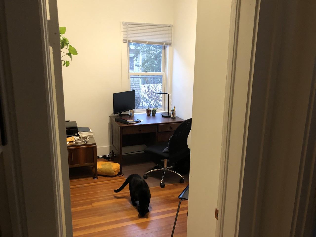 1001 W Stoughton St #1 - Photo 3 of 8