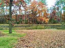 224 Betty Ct - Photo 2 of 3