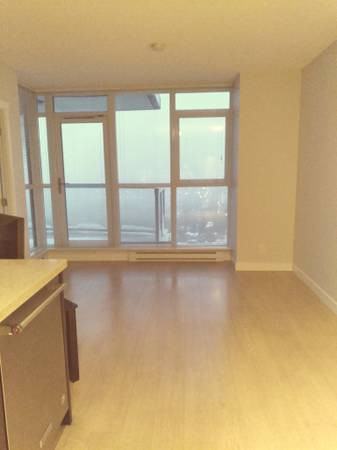 DELTA RISE  2BEDROOMS 2 BATHROOM CONDO - Photo 4 of 13