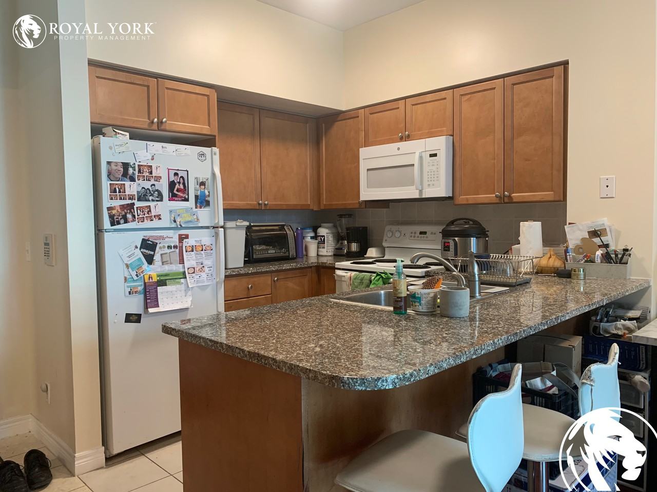 51 Lower Simcoe St #206