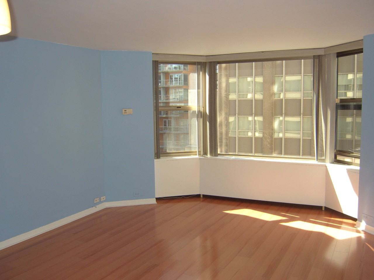 535 N Michigan Condo Association - Photo 2 of 17