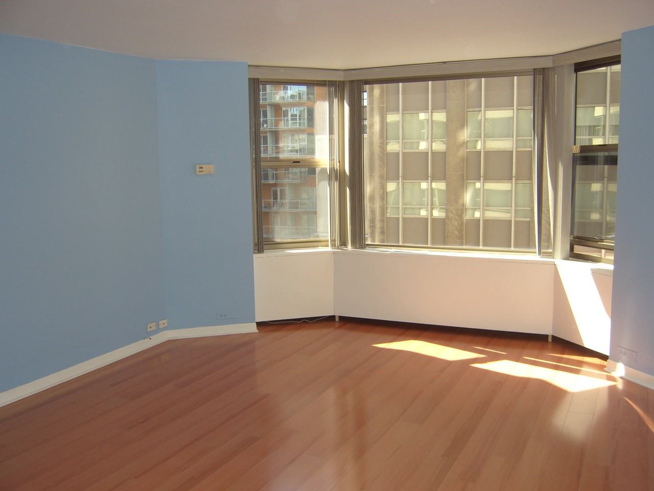 535 N Michigan Condo Association - Photo 3 of 17