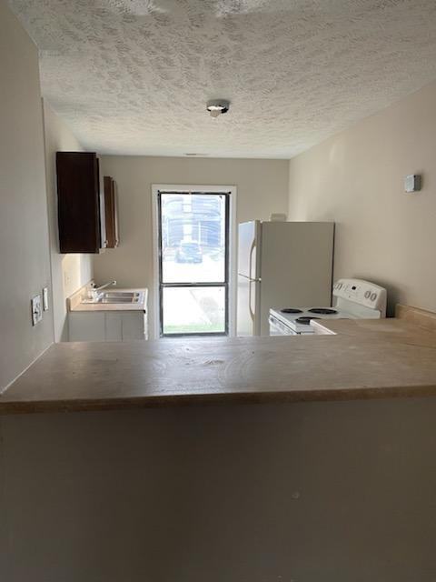 1410 Tangora Ln #1 - Photo 3 of 7