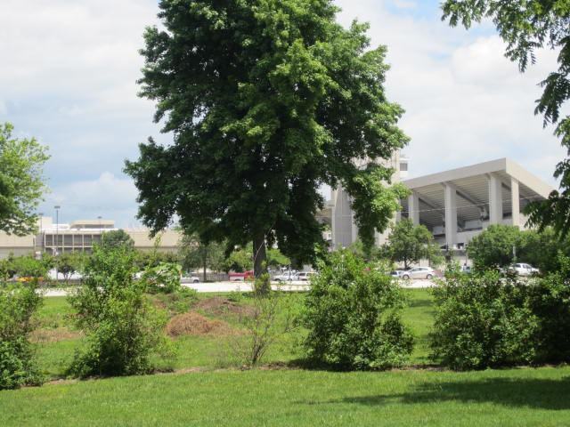 931 E Delmar St - Photo 5 of 17