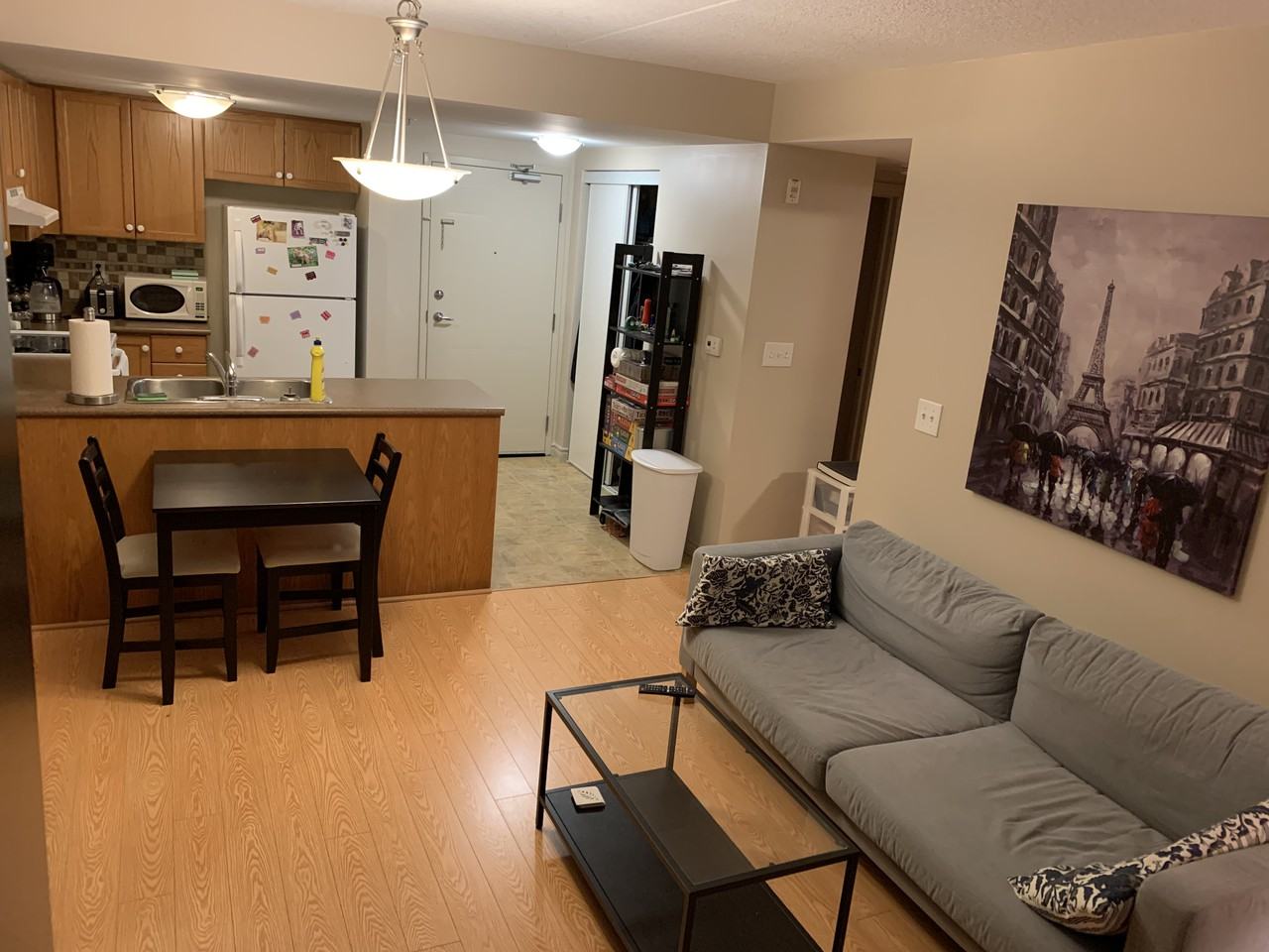 One Bedroom Condo Available for rent April 1st or May 1st Apartments
