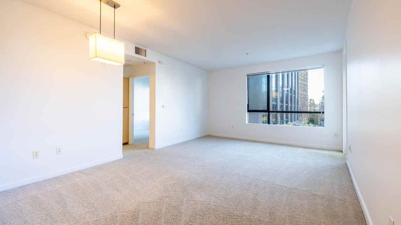 Hikari - Photo 2 of 47