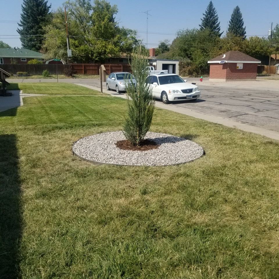 505 Shoshoni StreetApt AA #A - Photo 4 of 4