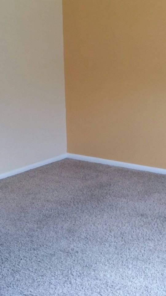 1206 26th Ave #B - Photo 2 of 6