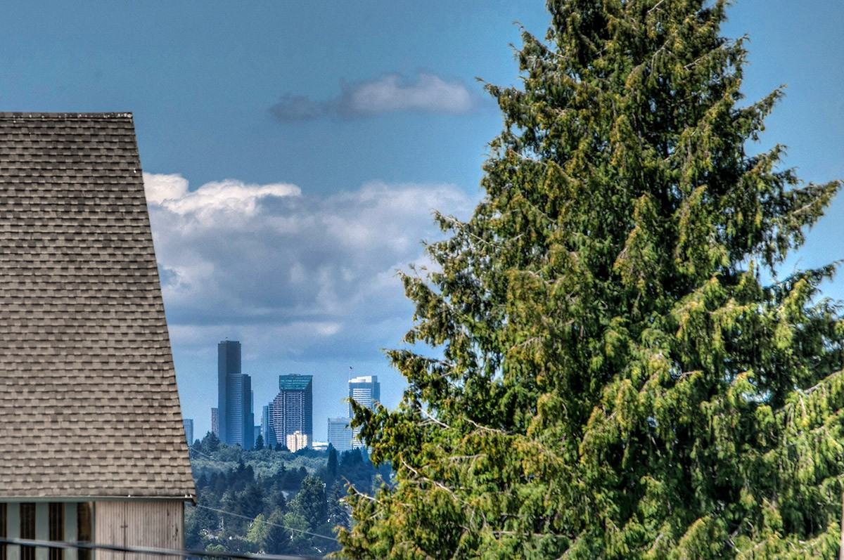 LAKE WA VIEW HOME!! - Photo 7 of 28