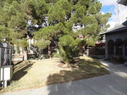 11513 Lake Tana Dr - Photo 3 of 49