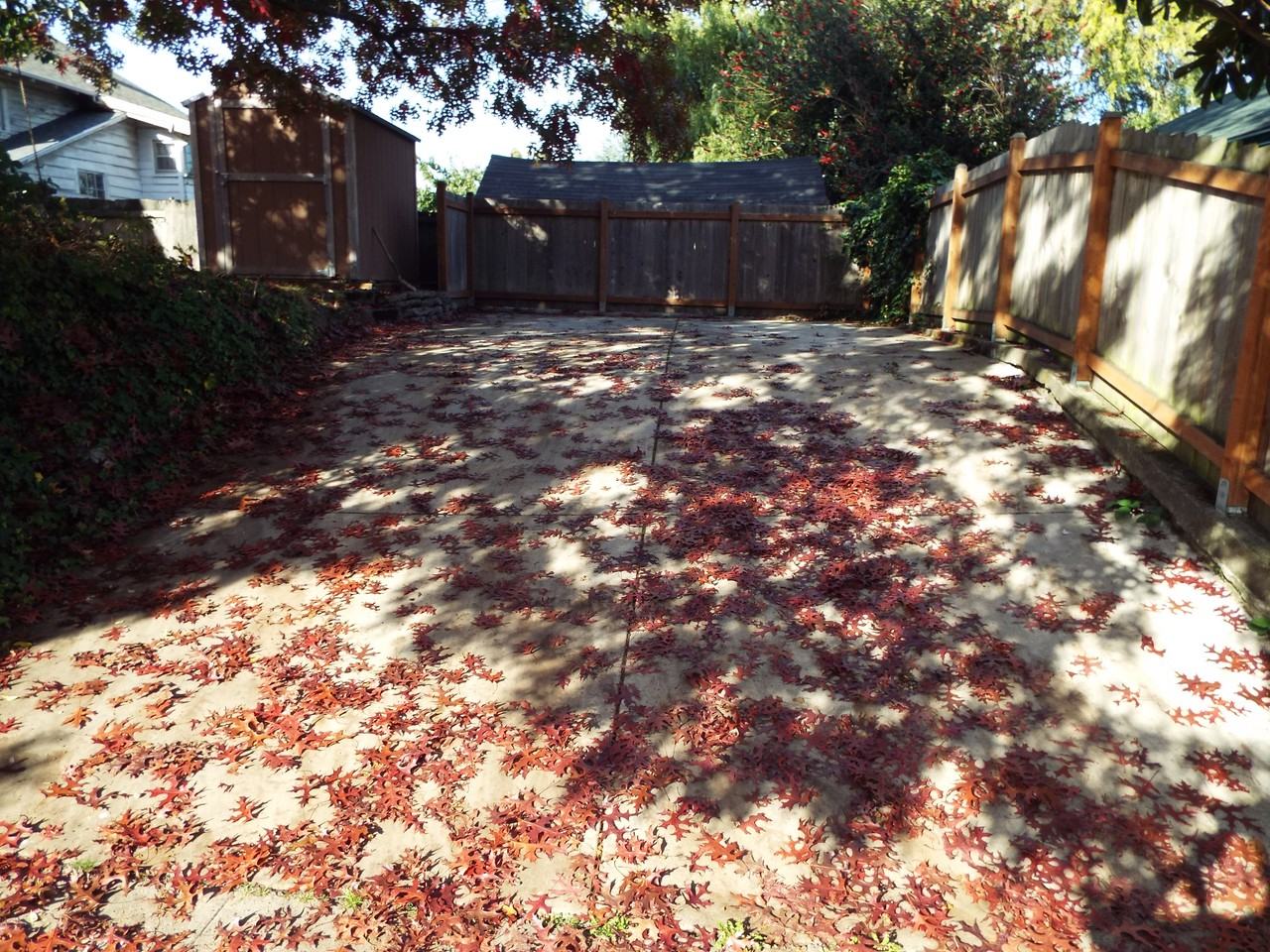 5302 8th Ave NE - Photo 3 of 5