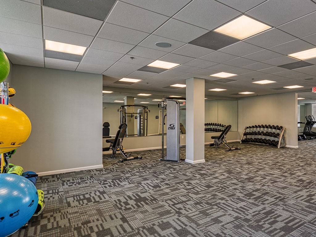 The Winterfield at Midlothian - Photo 6 of 33