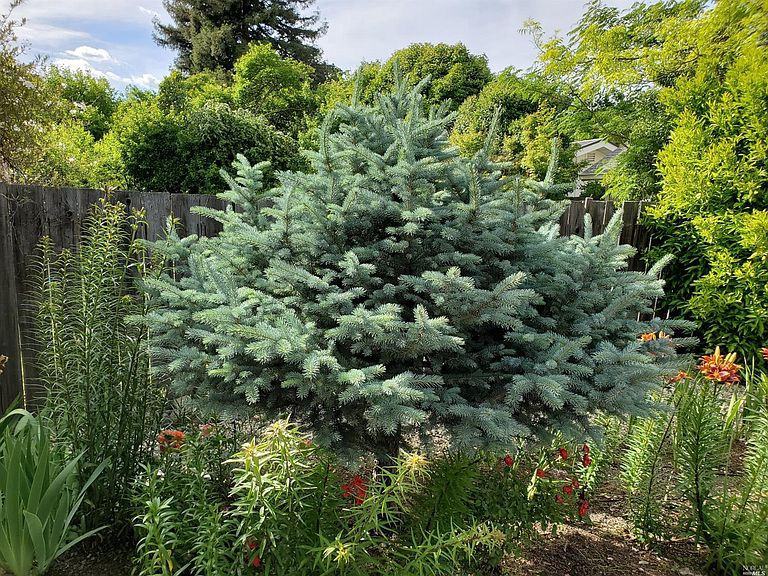 1124 Hudson Ave - Photo 2 of 14