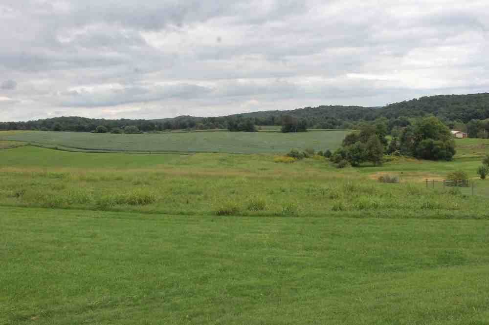 5780 Blooming Grove Rd - Photo 2 of 10